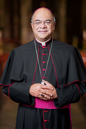 Bishop Fabre